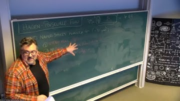 MasterClass #6. Lecture 2 (part 1): Flow, Distribution, and Adaptation in Complex Spatial Networks