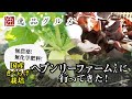 【無農薬】国産きくらげ農家「ヘブンリーファーム」さんに行ってきた！