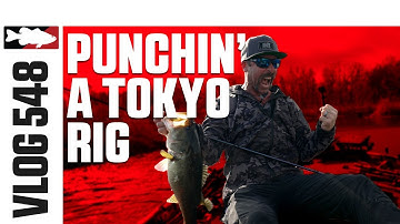 Punching the VMC Tokyo Rig at Suwannee Valley Preserve with Ike - VLOG #548