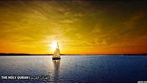 #سورة_المنافقون  كاملة | القارئ محمد صلاح نافع #القران_الكريم #تلاوة #quran #القرآن #قران