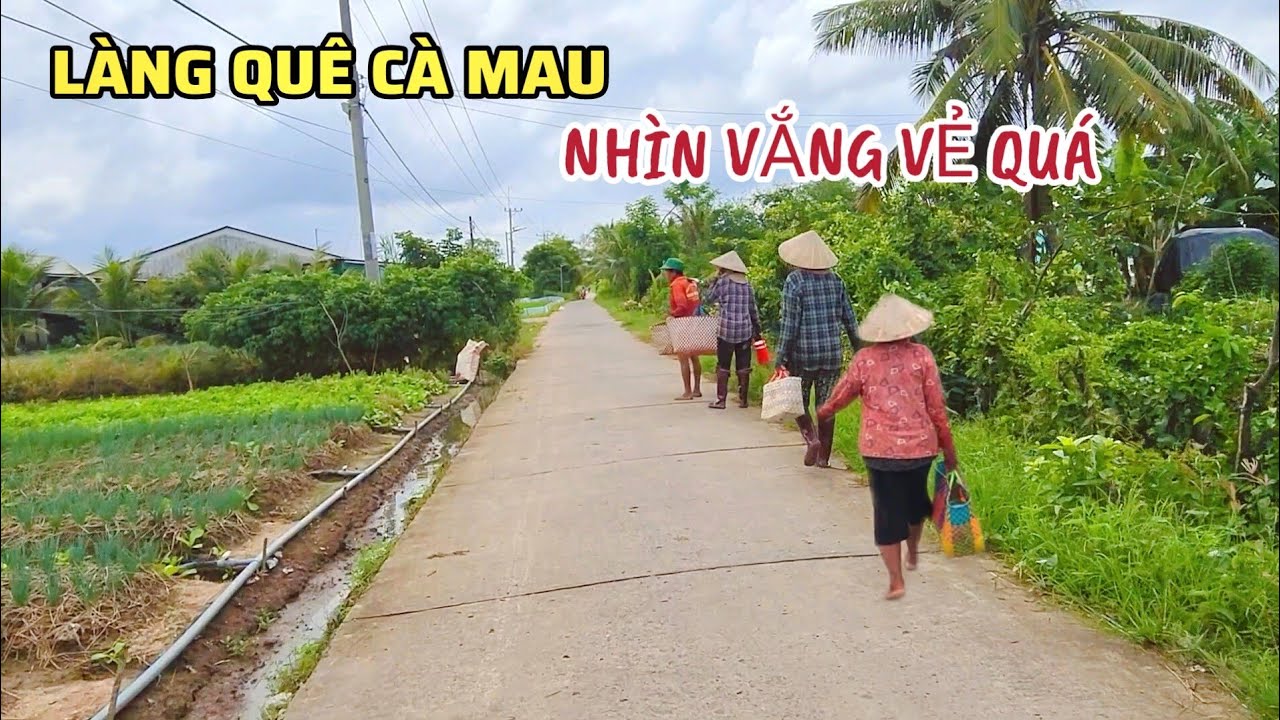 Làng Quê Cà Mau Yên Bình Mát Mẻ Nhìn Vắng Vẻ Quá, Nhà Thưa Thớt Bà CònTrồng Lúa Là Chính 2025