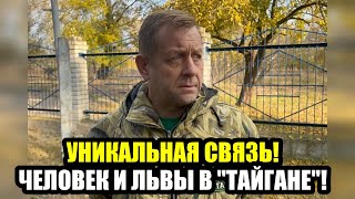 ЧУДО В КРЫМУ! ЗУБКОВ ВЫЖИЛ ПОСЛЕ НАПАДЕНИЯ ЛЬВОВ!