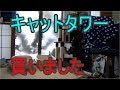 新しくキャットタワーを買いました。うちの猫は使うのか？1分15秒くらいから簡単なレビュー