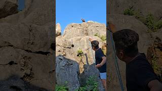 Aiming At Large Animals On Rocks