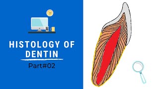 Histology of Dentin | Dentin Pulp Complex Session 5