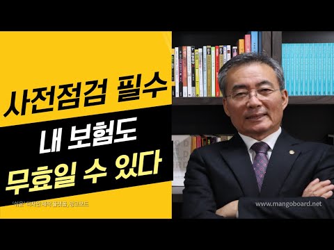 자동차보험회사순위