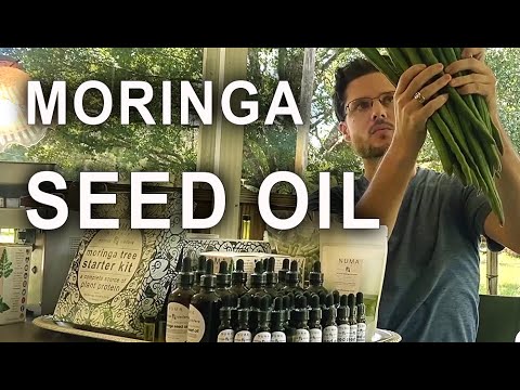 Video: Moringa Oil Anvendelser Og Fordele