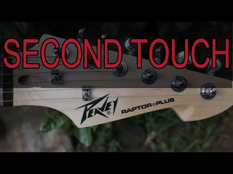 PEAVEY RAPTOR PLUS vs PEAVEY RAPTOR CUSTOM