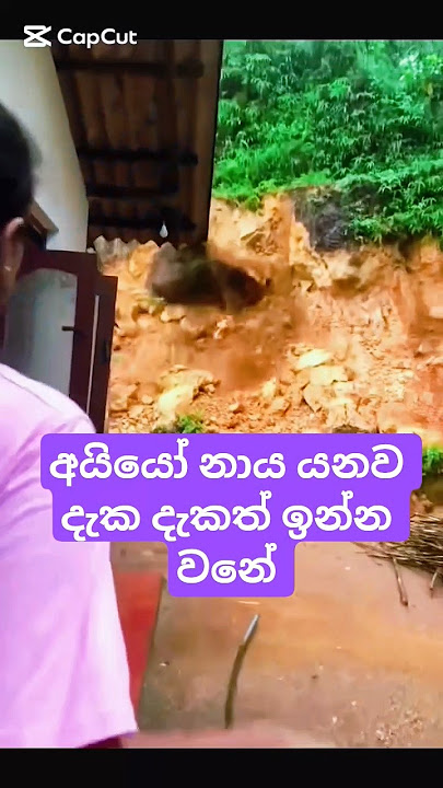 අයියො නාය යනව දැක දැකත් ඉන්න වනෙ 🙏😔