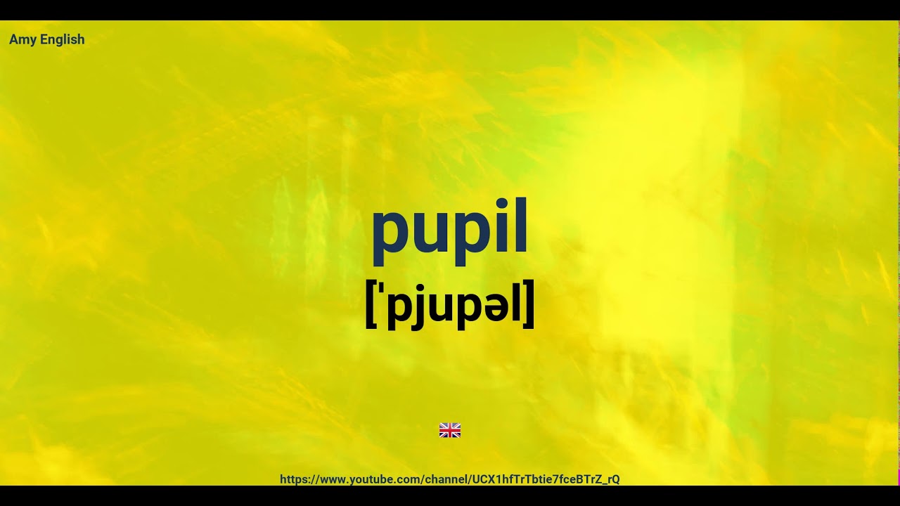How To Pronounce Pupil YouTube how-to-pronounce-pupil-youtube