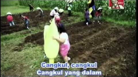 Menanam Jagung _ UMAY