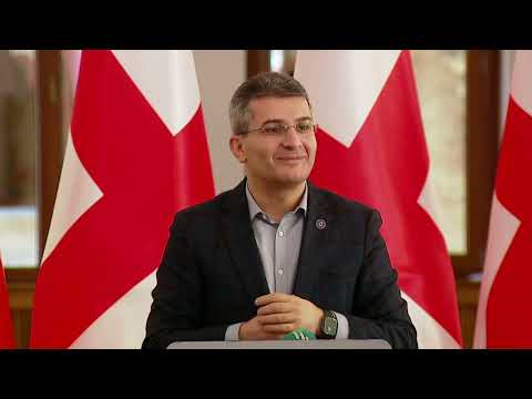 ერთი მტკიცებულება მითხარით, რომ ივანიშვილი პოლიტიკაში ერევა დღეს და გავჩუმდები! - მდინასრაძე