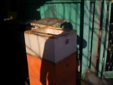 Ульи из пенополистирола видео резанием Ульи из пенополистирола видео резанием