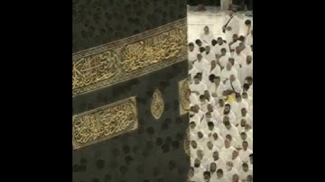 قبس من الحرم | ما تيسر من سورة البقرة | الشيخ #ياسر_الدوسري