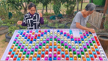 Color Ball Sort Puzzle Game Let