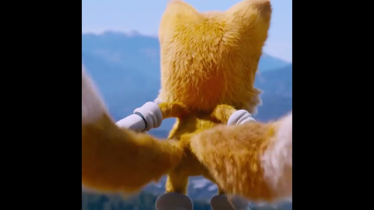 Sonic & Tails Team Up Fight
