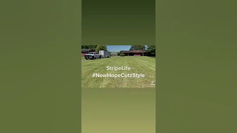 Gravely | Aka “The Stripe King” #gravely #lawn #ariens