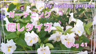 【ガーデニング  】Vlog    おしゃれで暑さに強いお花　ガーデンデザイン　おすすめ　夏の花　初心者さんかんたんガーデニング　アイデア　寄せ植え　DIY花壇　レンガの花壇　ガーデニングチャンネル