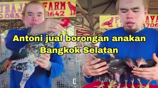 Antoni PJF sells wholesale South Bangkok children