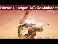 Hazrat ali asgar as ke shahadat10th muharramsayed aamir najafya hussain asaashura