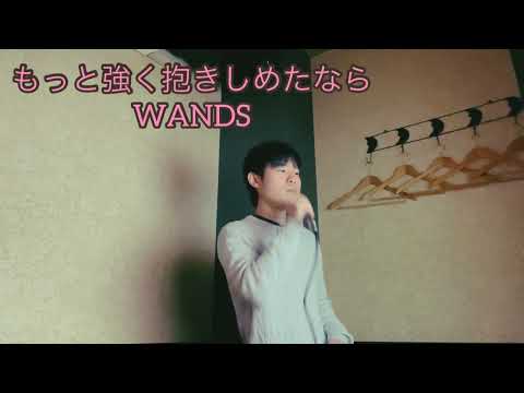 【カラオケ】 もっと強く抱きしめたなら / WANDS 歌ってみた 【敏彰-ToShiAKi】