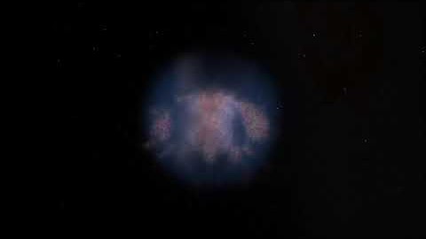 Take a Look Inside the Lion