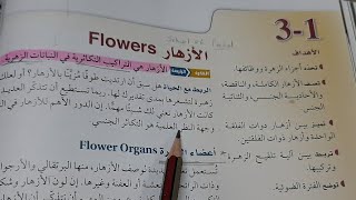 شرح درس الأزهار - ثالث ثانوي احياء