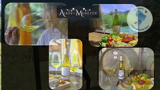 Aires de Menetue