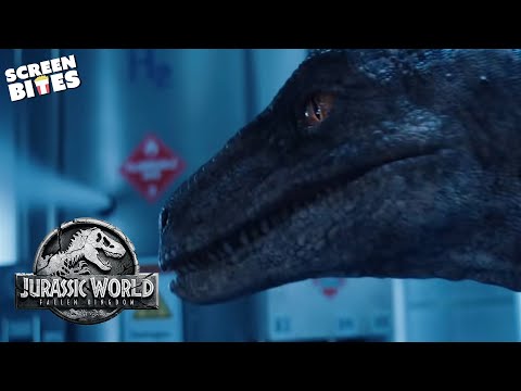 (4K) Velociraptor Running Across Screen 1