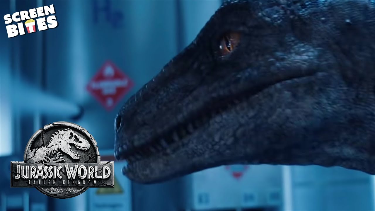 No One Can Stop The Velociraptor Jurassic World Fallen Kingdom Screen Bites Youtube