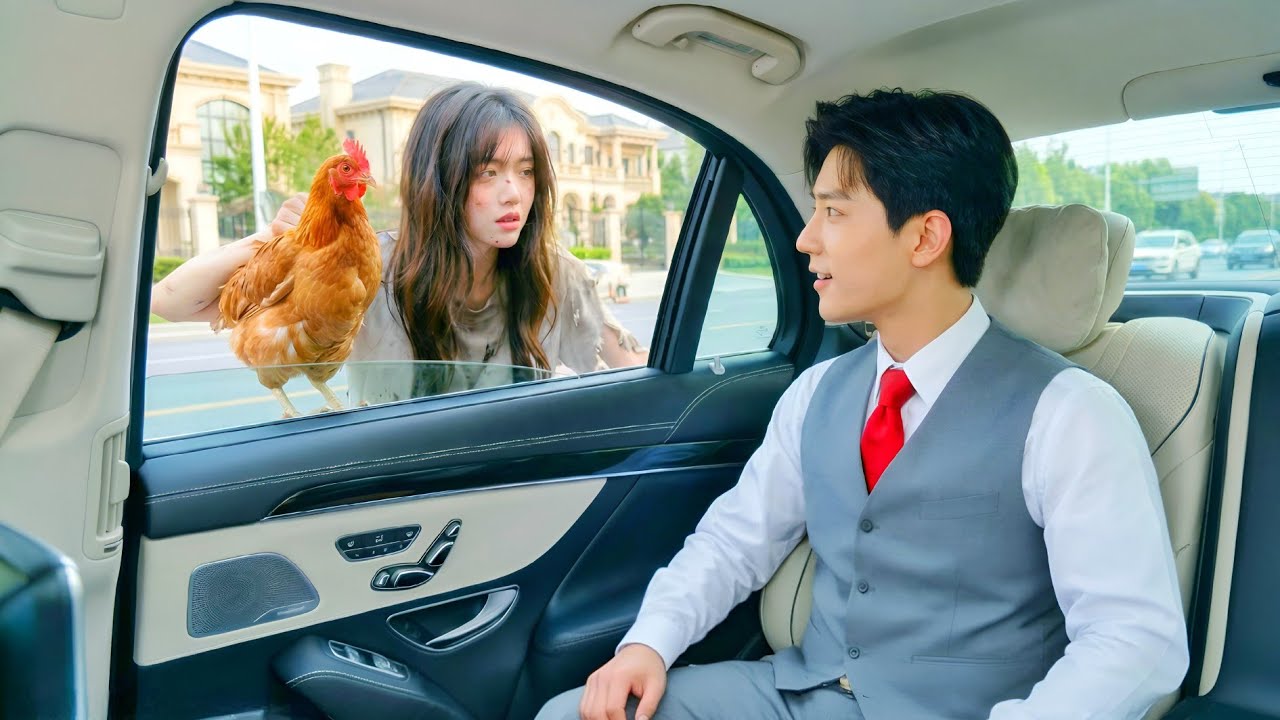 بتحاول تبيع فرخه لشاب غني فبيقرر يشتريها هي والفرخه ملخص مسلسل