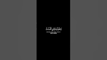 ما تيسر من سورة الفرقان | القرآن الكريم | القارئ ماهر المعيقلي | كروما