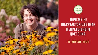 картинка: Прямой эфир 