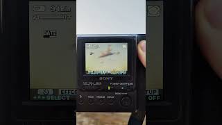 25-Year-Old Floppy Disk Camera Photography #photography #retro #naturephotography