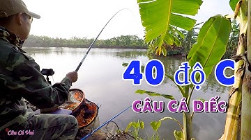 Câu Cá Diếc Ngày Hè Nóng 40 độ C ➣ Câu Đài Nghiệp Dư