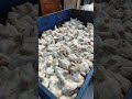 початок