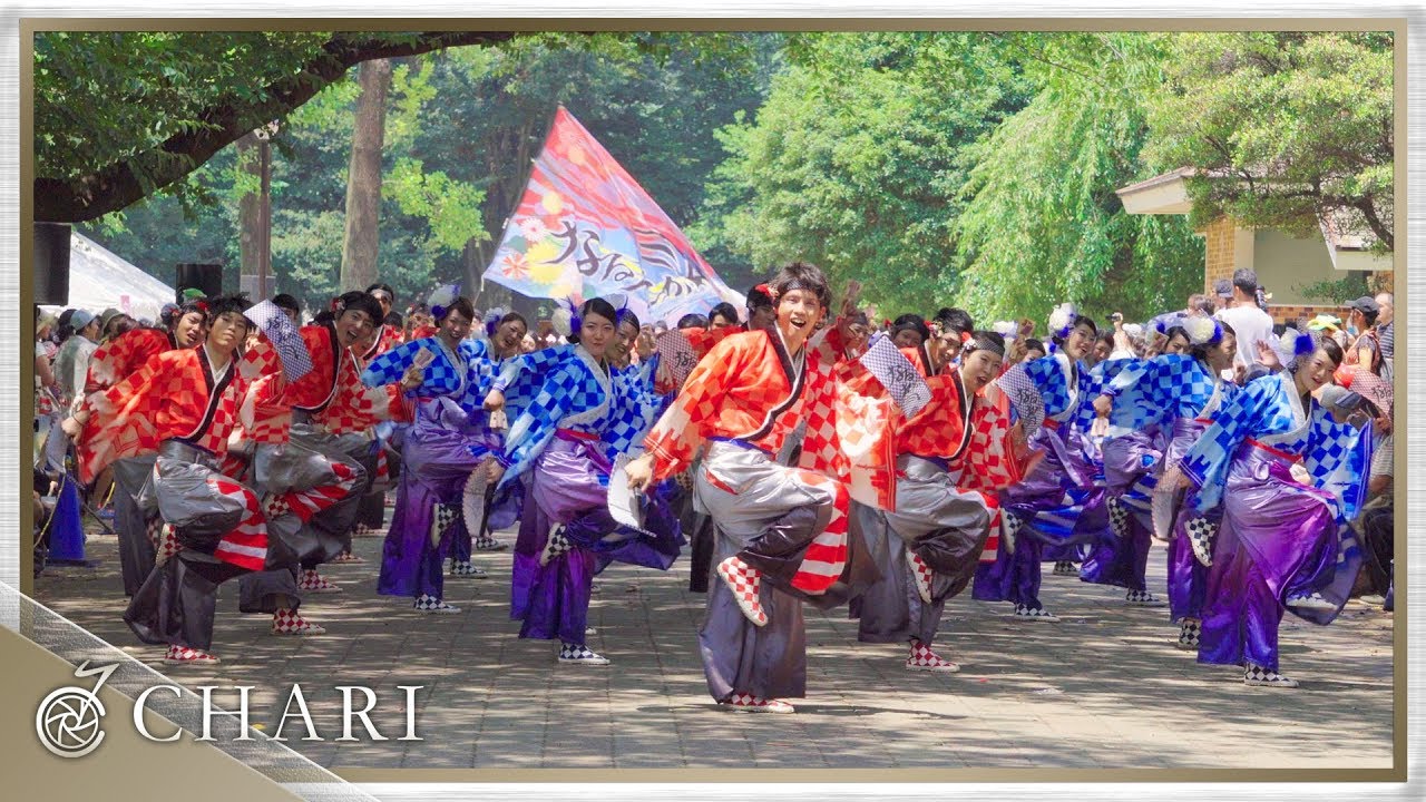 【4K】なるたか｜TOKYO（よさこい光が丘 2018）【御披露目演舞】