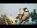 شيخ عبد الامير العامري قصة خليل الله ابراهيم عليه السلام من مسجد الموسوي الكبير