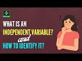 Identifying Independent Variables in Scientific Experiments