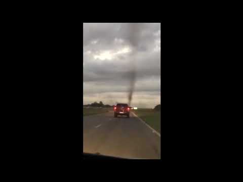El increíble tornado de mosquitos que apareció en una ruta de Pinamar