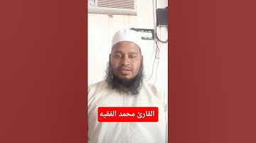 #محمد_الفقية #سورة_ال_عمران #تيك_توك #لايك #اكسبلور #المصحف