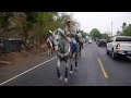 Jinete Cae Con Su Caballo -- Cabalgata Épica-El Salvador Es Asi