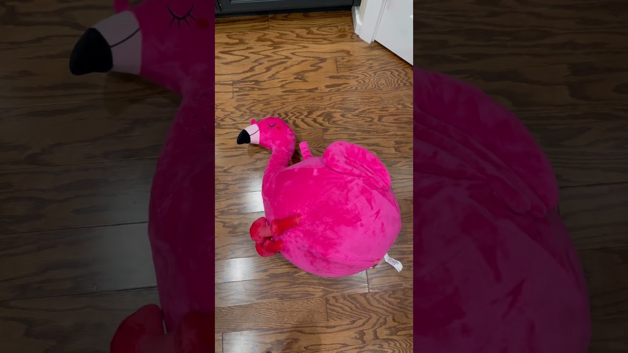 Unbox iPlay, iLearn Bouncy Pals Kids Flamingo Hopper Ball, Inflatable Bouncing Animal Hopping Toys