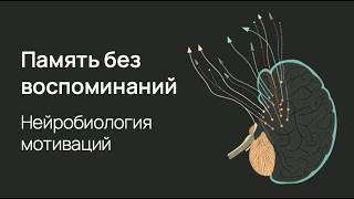 Не помню, но чувствую: нейробиология имплицитной памяти