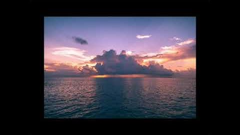 خمس ساعات من القرآن الكريم بتلاوة رائعة يخشع لها القلب