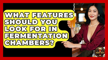 What Features Should You Look For in Fermentation Chambers? | The Pint Guy