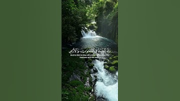 #قرآن #قران_كريم #تلاوة_خاشعة #quran #islam #islamic #islamicvideo #allah #foryou #fyp #explore