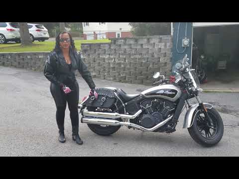 viking saddlebags sportster