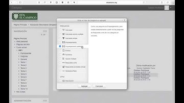 14f Cuestioranio - Pregunta Emparejamiento aleatorio