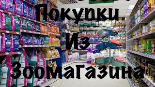 Покупки из зоомагазина для кошки 💞 Покупки из зоомагазина для кошки 💞